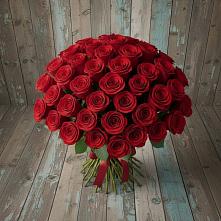 Букет 55 Красных роз Фридом #REPLACE_PRED# Попово-Лежачах