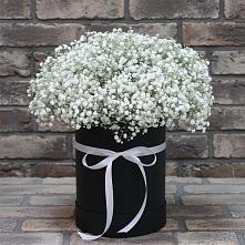 Цветочная композиция из Гипсофила в шляпной коробке в Попово-Лежачах